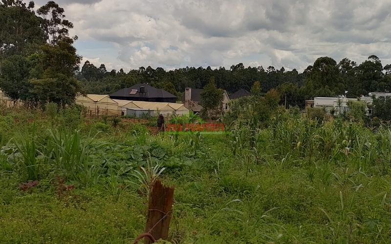 Prime 50*100ft residential plot for sale in Kikuyu-Ondire
