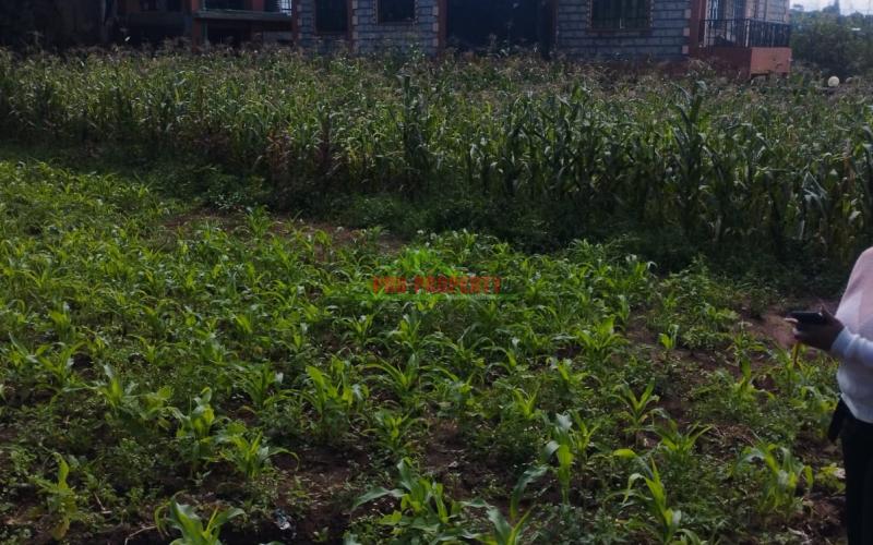 Prime 50by100ft Residential Plot For Sale In Kikuyu-gikambura