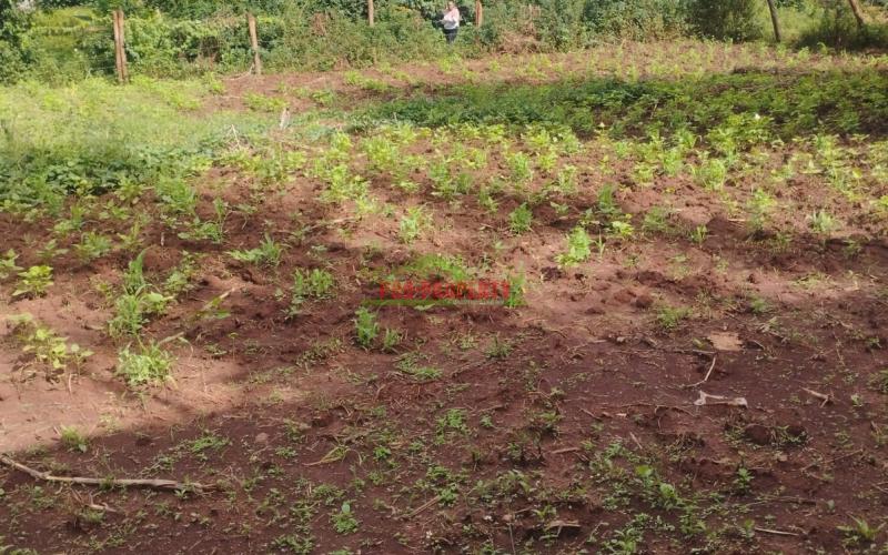 50*100ft Prime Residential Plot For Sale In Kikuyu-gikambura