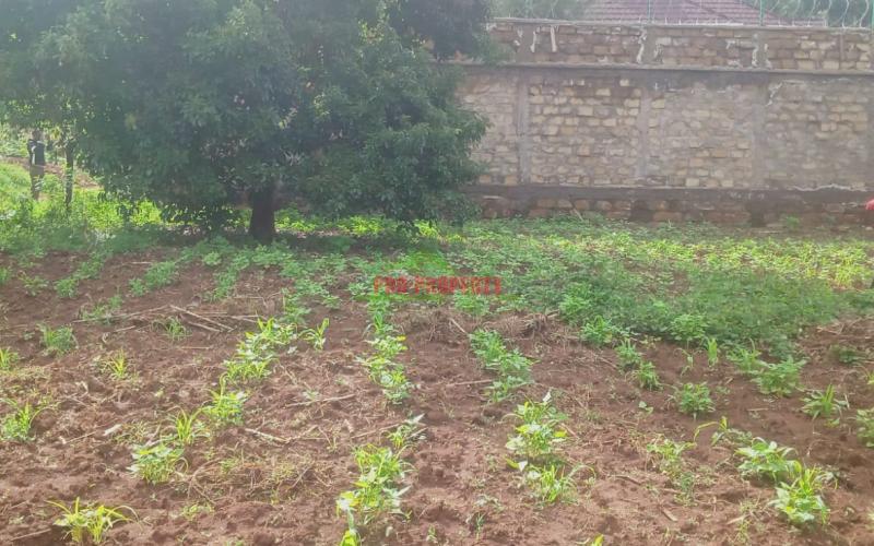 Prime 50 By 100 Ft Residential Plot For Sale In Kikuyu, Gikambura