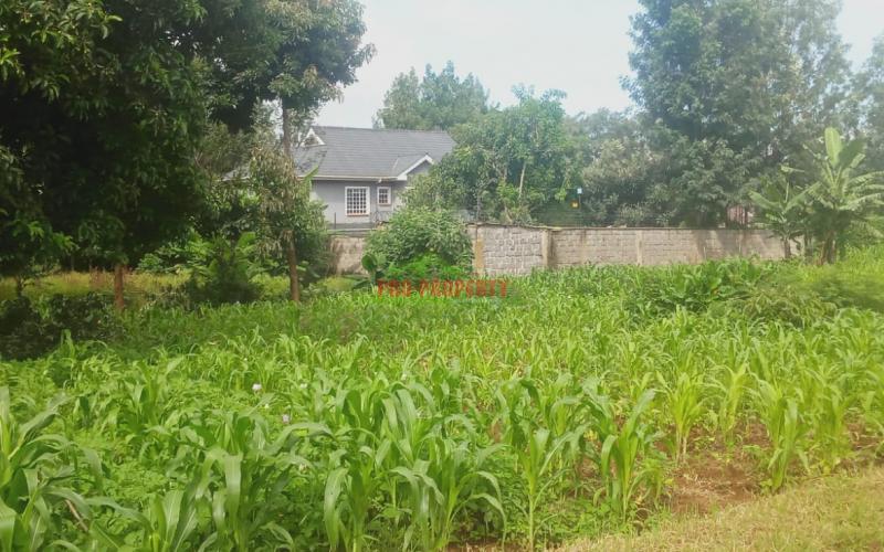 Prime 50 By 100 Ft Residential Plot For Sale In Kikuyu, Gikambura