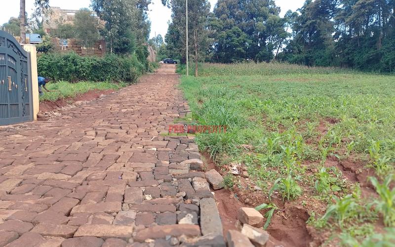Prime Residential Plot For Sale In Kikuyu Gikambura