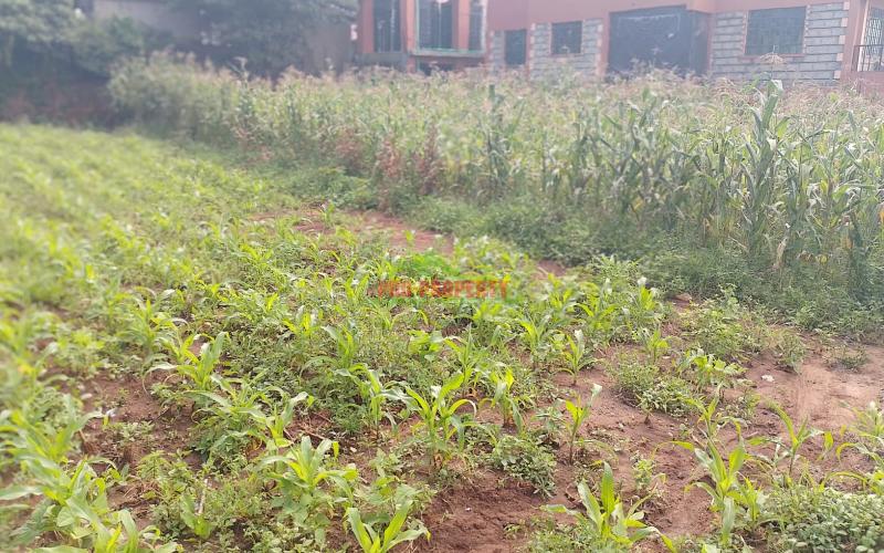 Prime Residential Plot For Sale In Kikuyu Gikambura
