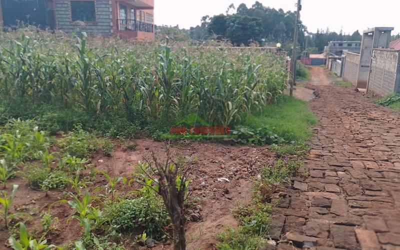 Prime Residential Plot For Sale In Kikuyu Gikambura