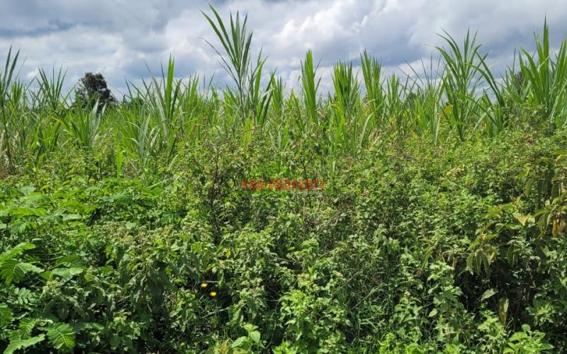 Prime 200 by 200 ft commercial plot for sale in Kikuyu- kamangu