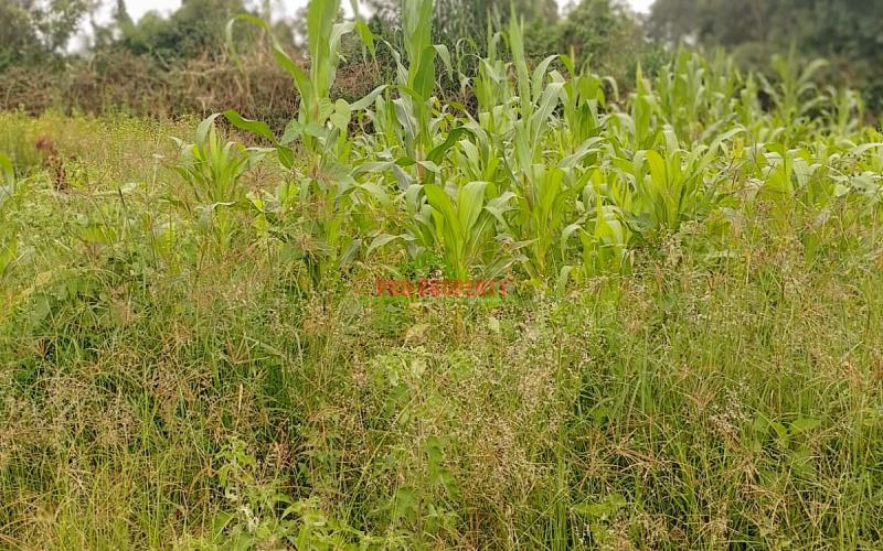 Prime Residential Plot For Sale In Kikuyu, Gikambura