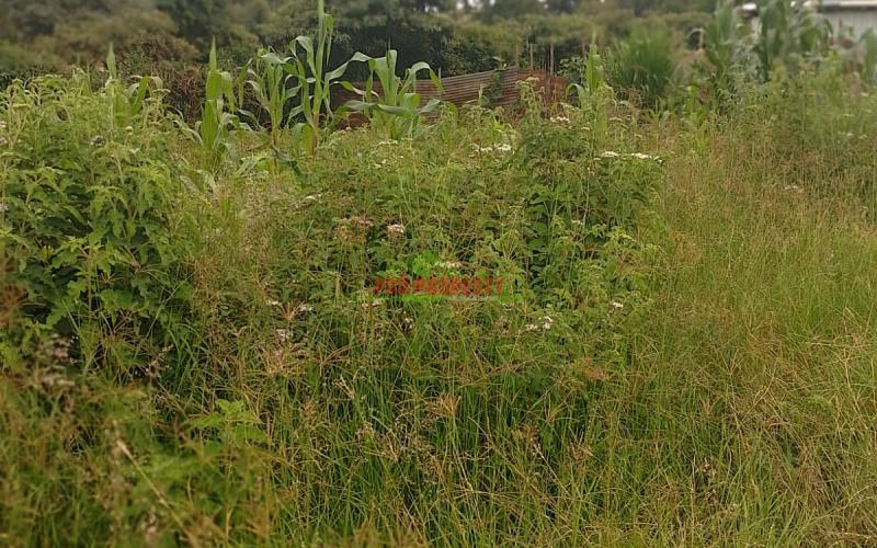 Prime Residential Plot For Sale In Kikuyu, Gikambura