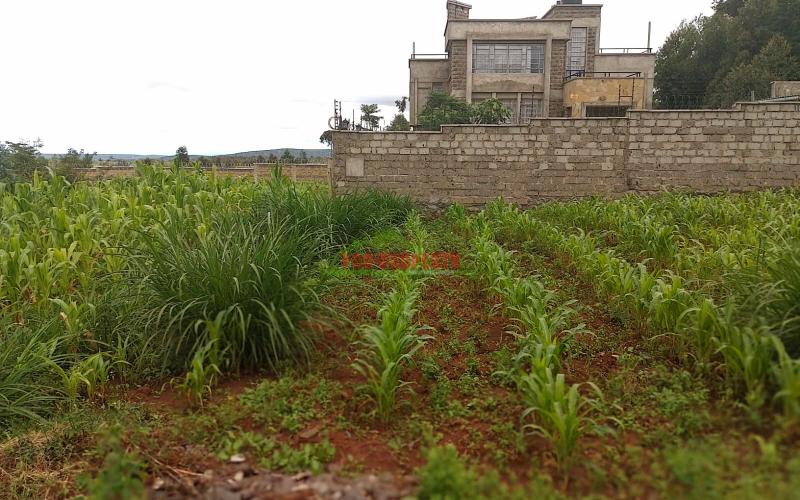 Prime Residential Plot For Sale In Kikuyu, Gikambura
