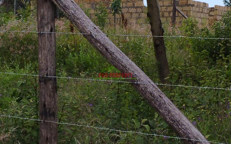 Prime 50by100ft Plots For Sale In Kikuyu-kamangu