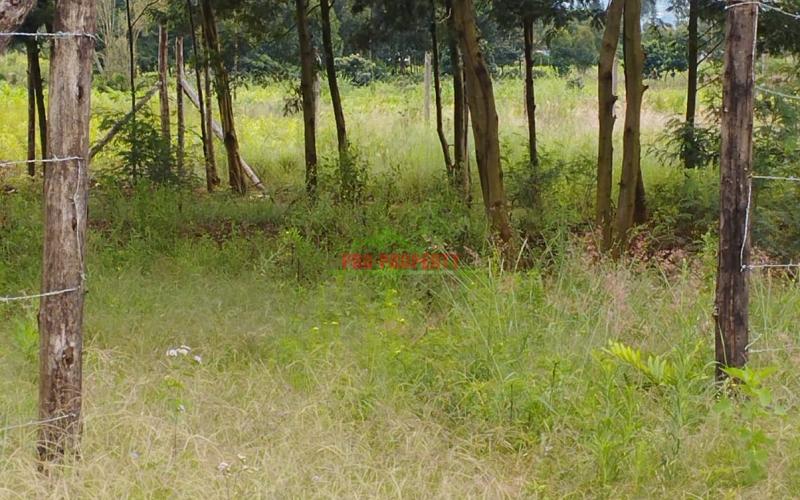 Prime 50*100 Ft Residential Plot For Sale In Kikuyu-kamangu