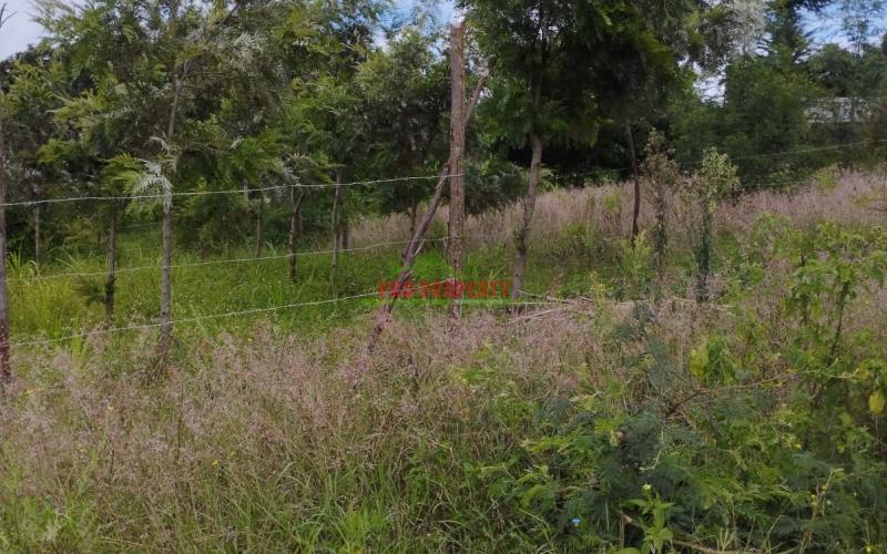 Prime 50by100ft Plots For Sale In Kikuyu-kamangu