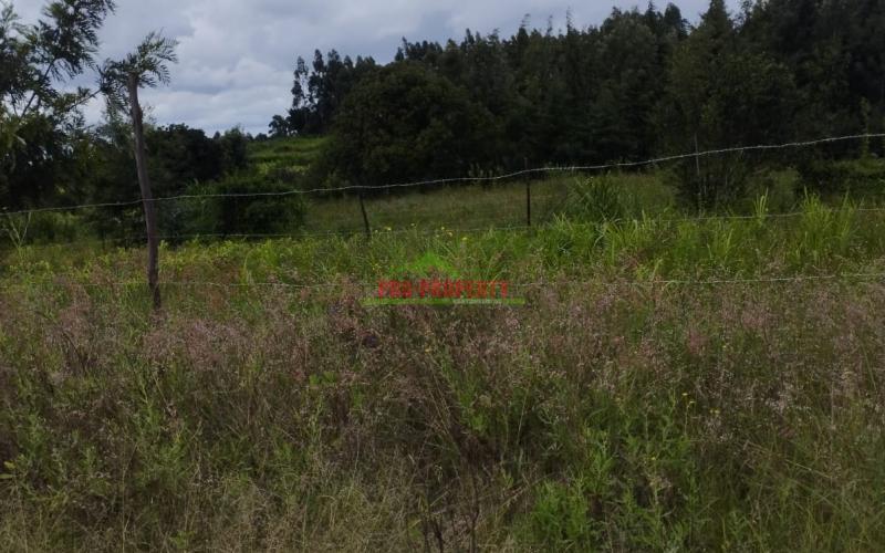 Prime 50by100ft Plots For Sale In Kikuyu-kamangu