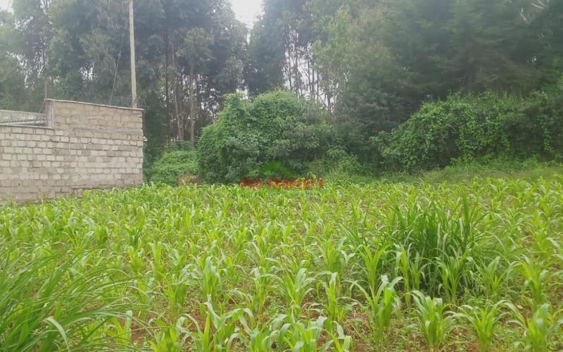 Prime Residential Plot For Sale In  Kikuyu,gikambura