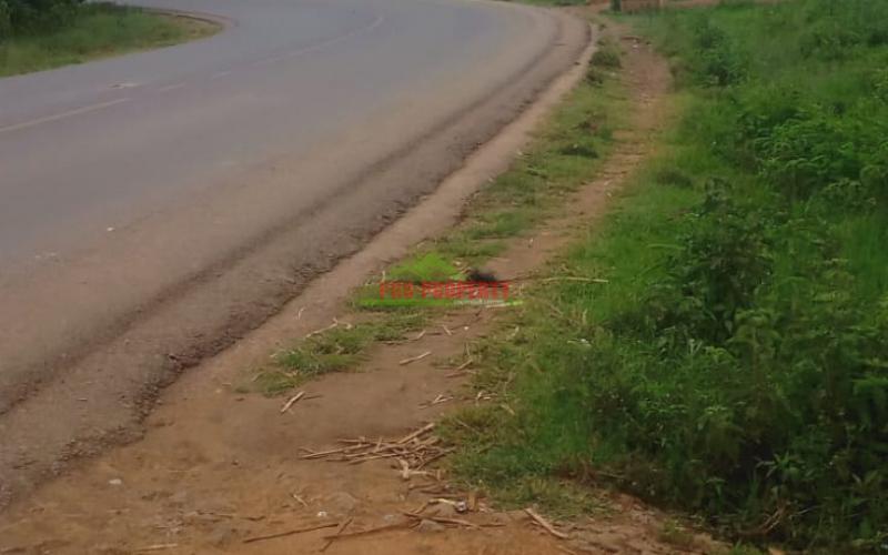 Prime Plot For Sale In Kikuyu -kamangu(1/2acre)