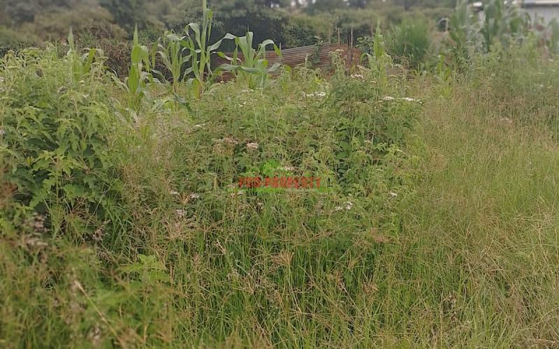 A1 Plot For Sale In A Gated Community Concept In Gikambura