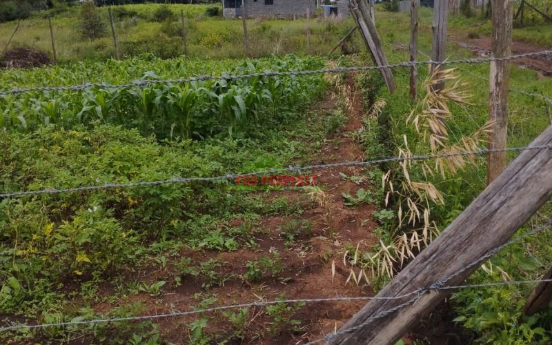 Prime 50*100 Ft Residential Plot For Sale In Kikuyu-kamangu