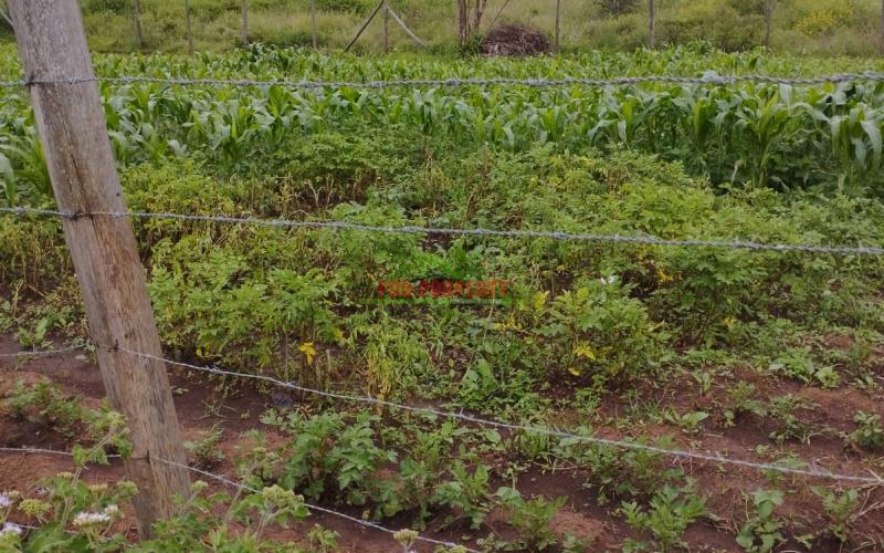 Prime 50*100 Ft Residential Plot For Sale In Kikuyu-kamangu