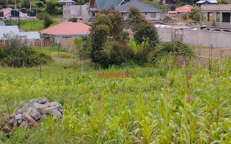 Prime 50*100ft Plot For Sale In Kikuyu-kamangu.