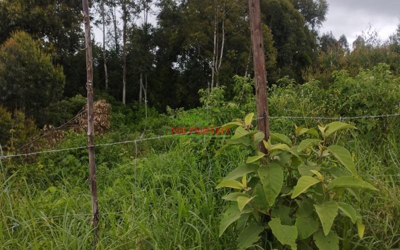 50*100ft Prime Plot For Sale