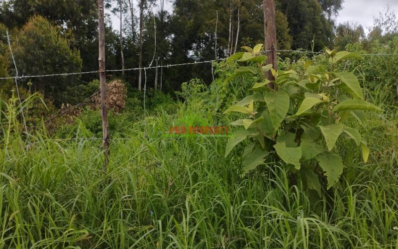 50*100ft prime plot for sale