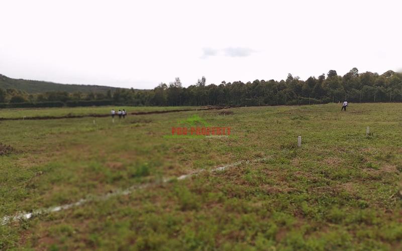 Prime Real Estate Investment Opportunity In Kikuyu!!