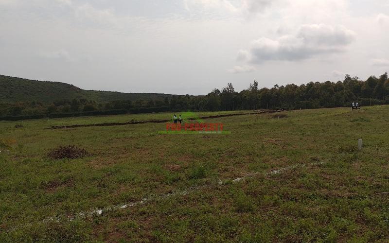 Prime Real Estate Investment Opportunity In Kikuyu!!