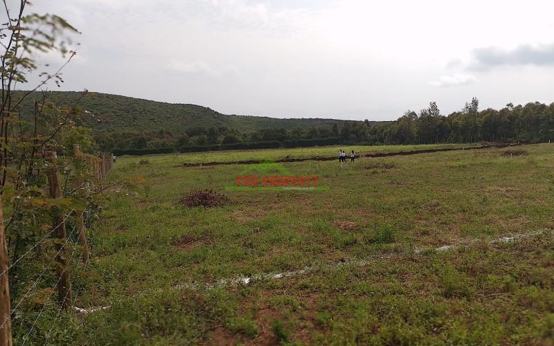 Prime Real Estate Investment Opportunity In Kikuyu!!