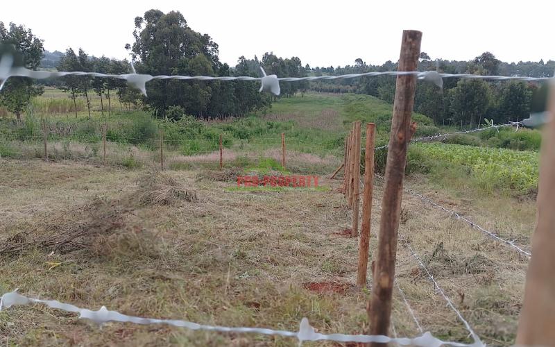 Prime Plot For Sale In Ngamba Near Farm Feeds