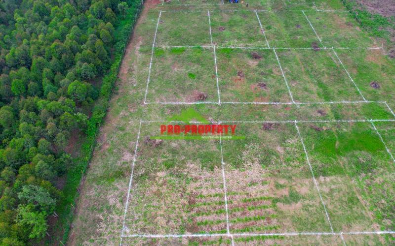 Prime 50 × 100 Plots For Sale