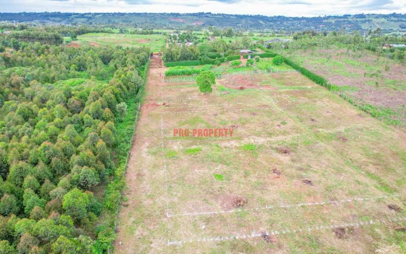 Prime 50 × 100 Plots For Sale