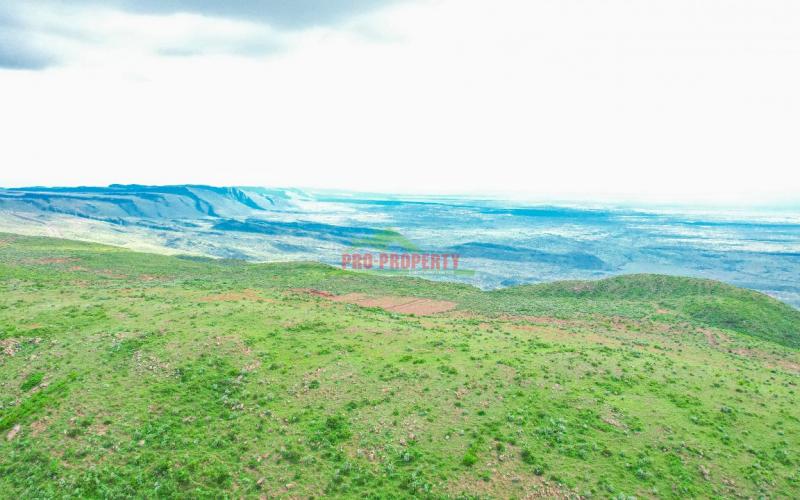 Prime 50 × 100 Plots For Sale