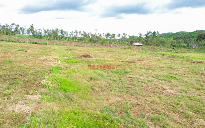 Prime Residential 50 By 100 Plot For Sale