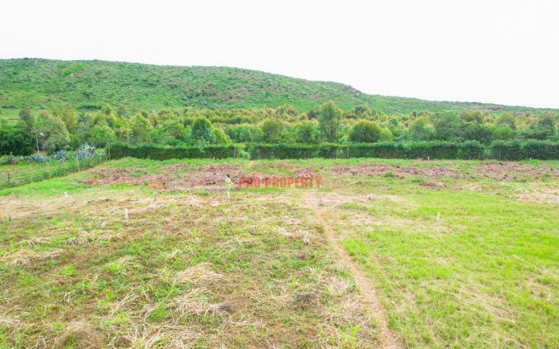 Prime Residential 50 By 100 Plot For Sale