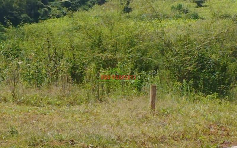 Prime Residential 50 By 100 Ft Plot For Sale In Kikuyu-gikambura,jumbo Tv