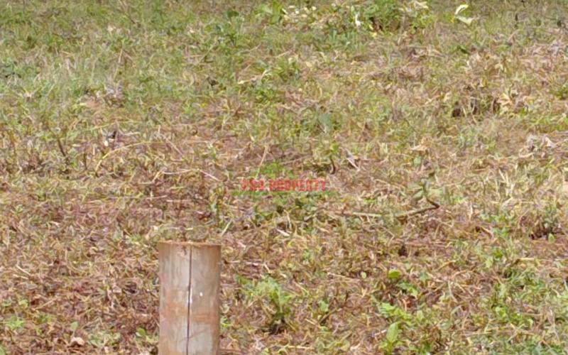 Prime Residential 50 By 100 Ft Plot For Sale In Kikuyu-gikambura,jumbo Tv