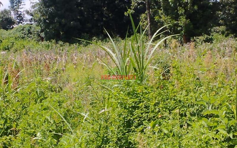 Prime Residential 50 By 100 Ft Plot For Sale In Kikuyu-gikambura