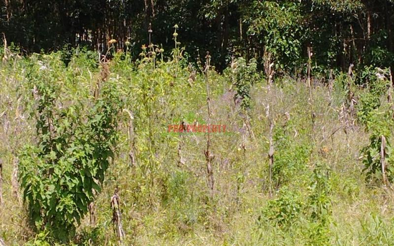 Prime Residential 50 By 100 Ft Plot For Sale In Kikuyu-gikambura