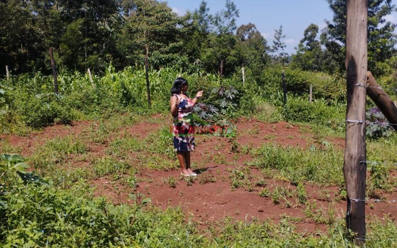 Prime 50*100ft Residential Plot For Sale In Kikuyu-gikambura