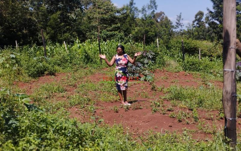 Prime 50*100ft Residential Plot For Sale In Kikuyu-gikambura