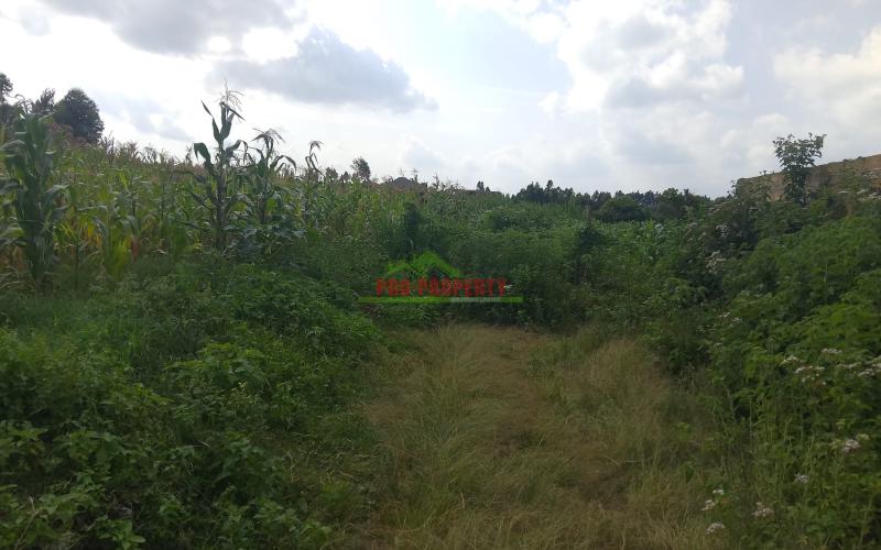 Prime Residential Plot For Sale In Kikuyu, Kamangu