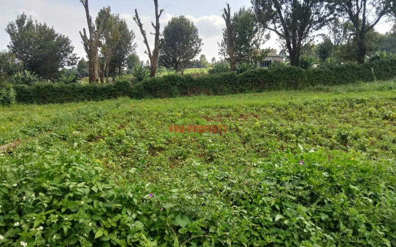 Prime Residential plot for sale in Kikuyu, kamangu