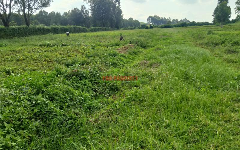 Prime Residential Plot For Sale In Kikuyu, Kamangu