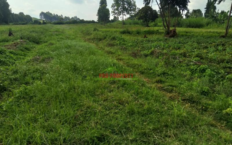 Prime Residential Plot For Sale In Kikuyu, Kamangu