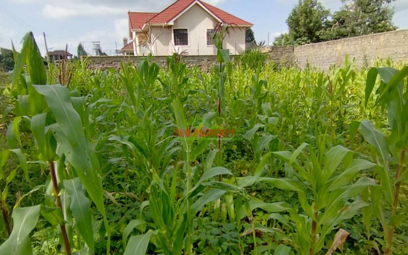 Prime 50* 100ft residential plot for sale in Kikuyu-Gikambura