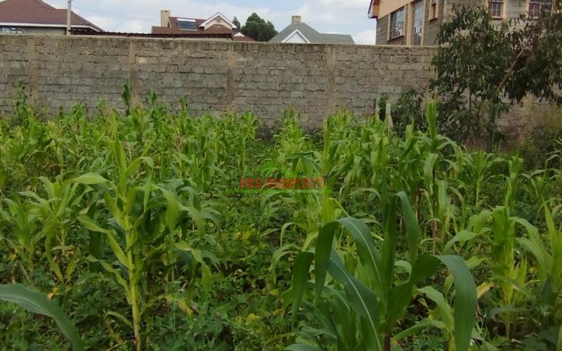 Prime 50* 100ft Residential Plot For Sale In Kikuyu-gikambura