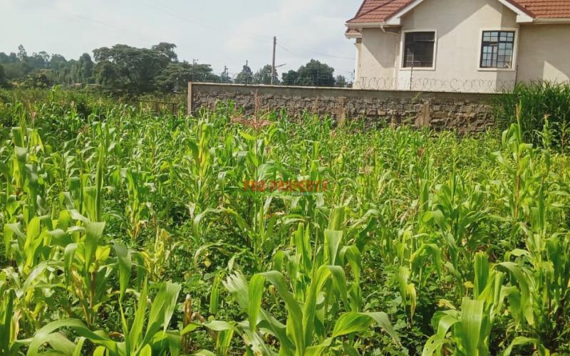 A1 Plot For Sale In Gikambura