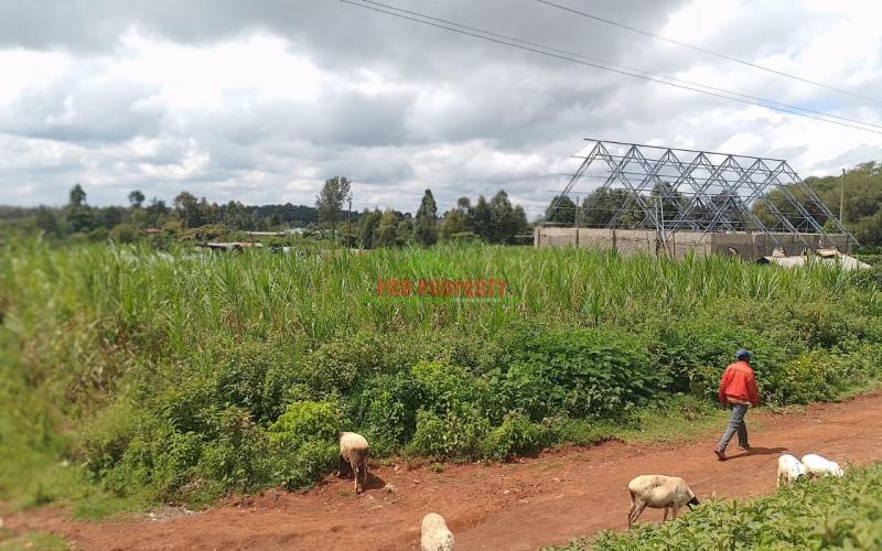 Commercial Plots For Sale In Thigio