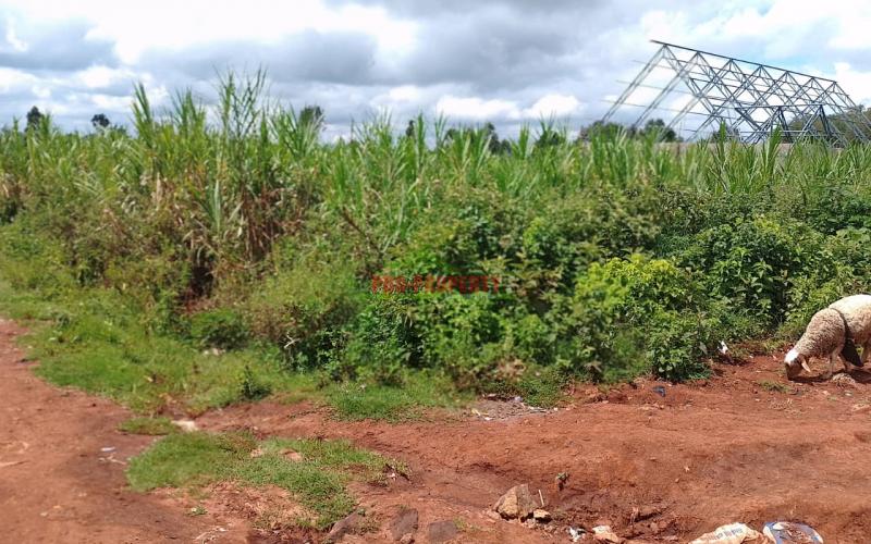 Commercial Plots For Sale In Thigio