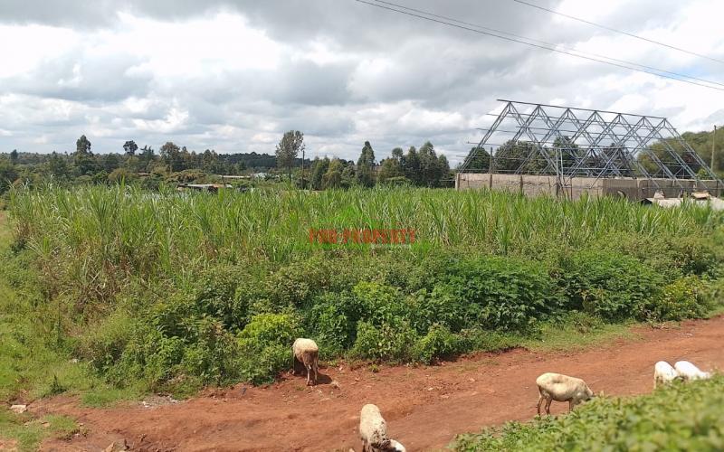 Commercial Plots For Sale In Thigio