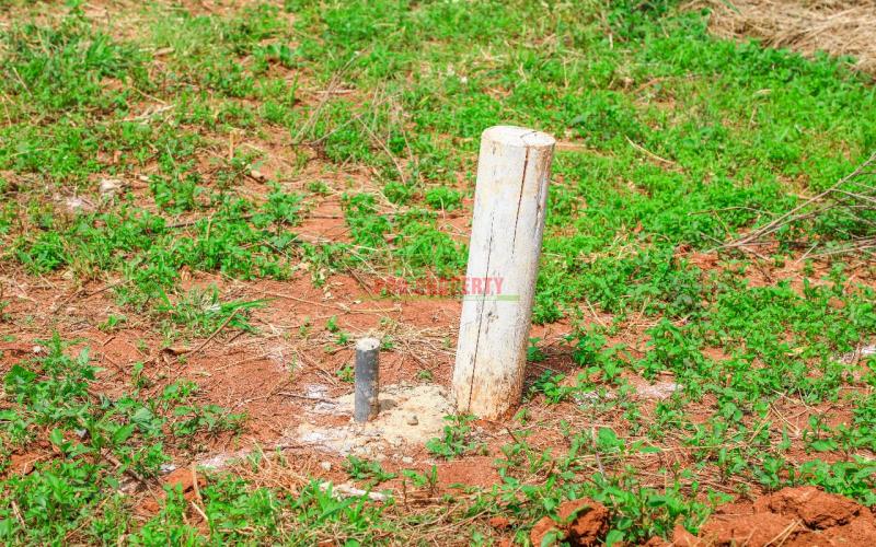 Prime  Residential  Controlled  Plots For Sale In A Gated Community In Kikuyu ,thigio